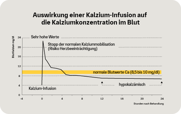 Grafik: Auswirkung einer Kalziuminfusion auf die Kalziumkonzentration im Blut der Kuh