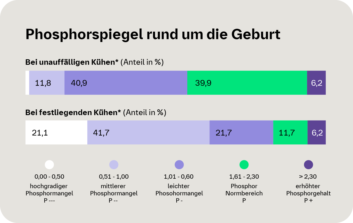 Phosphorspiegel bei Kühen nach der Kalbung