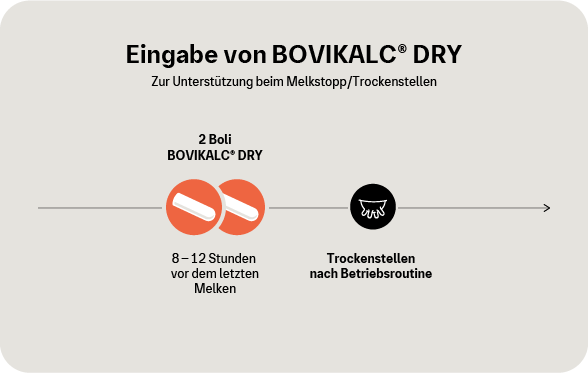 Grafik: Eingabe von BOVIKALC DRY