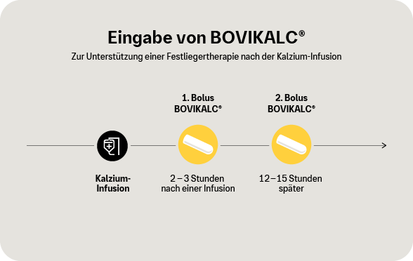 Grafik: Eingabe von BOVIKALC zur Unterstützung einer Festliegertherapie.