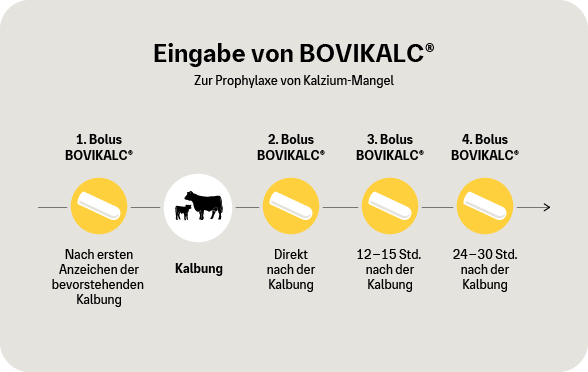 Grafik: Eingabe von BOVIKALC