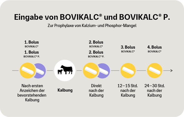 Grafik:Eingabe von BOVIKALC und BOVIKALC P. zur Prophylaxe von Kalziummangel und Phosphormangel.