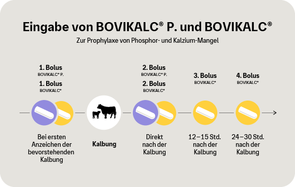 Grafik: Eingabe von BOVIKALC P: und BOVIKALC zur Prophylaxe von Phosphor-Mangel und Kalzium-Mangel bei der Kuh