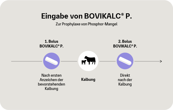 Grafik: Eingabe von BOVIKALC P. zur Prophylaxe von Phosphor-Mangel bei der Kuh