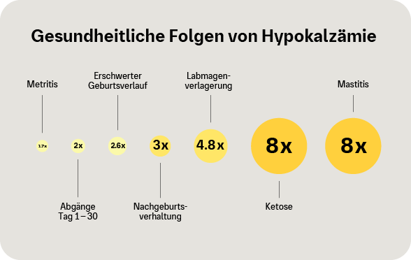 Grafik: Gesundheitliche Folgen von Hypokalzämie