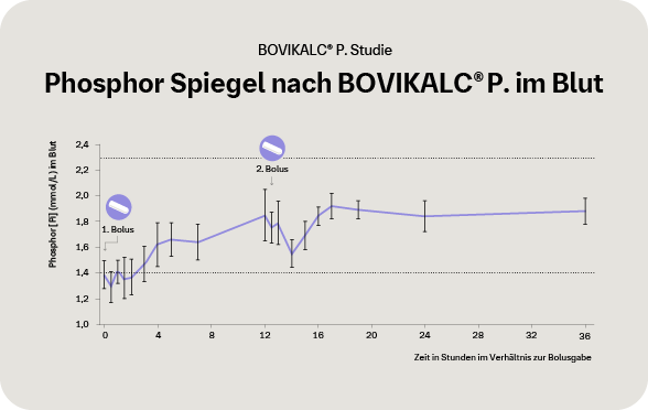 Grafik: Phosphorspiegel bei der Kuh nach BOVIKALC P: im Blut