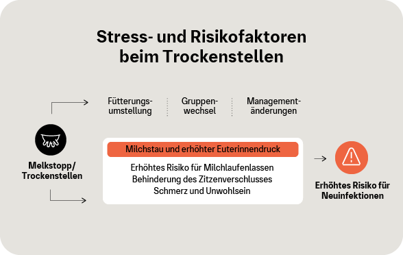 Grafik: Stressfaktoren und Risikofaktoren beim Trockenstellen