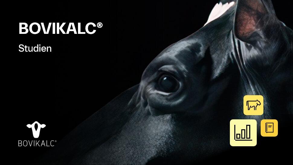 Studienergebnisse und Erfahrungen mit Bovikalc bei der Behandlung von Milchfieber. 